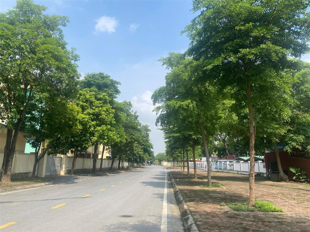 Hàng xóm vin ocean park  nhỉnh 7 tỷ  115m2 đất  vuông đẹp xây nhà sân vườn