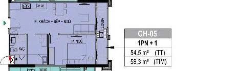 Căn 1pn + 1, ban công đông nam view bể bơi, giá 3,42 tỷ 55m2 thông thủy the paris.  0907 351 ***