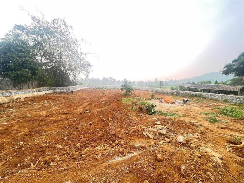Chính chủ bán 1200m2 đất tại đông xuân, quốc oai, khu dân cư đông đúc, sẵn sổ, gần tuyến metro
