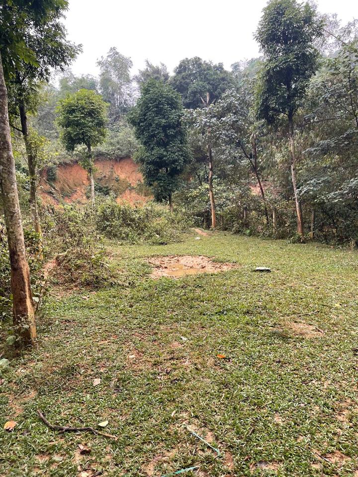 Chính chủ cần bán lô đất 2406,6m2, đã tách sẵn 2 sổ đỏ bao ktra quy hoạch  long đông xuân