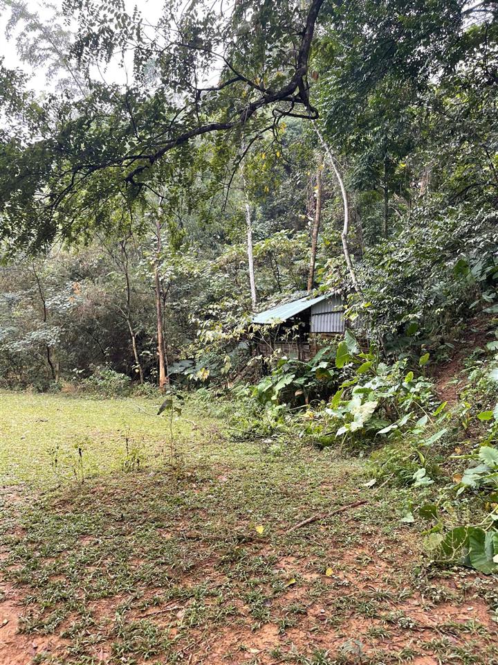 Chính chủ cần bán lô đất 2406,6m2, đã tách sẵn 2 sổ đỏ bao ktra quy hoạch  long đông xuân