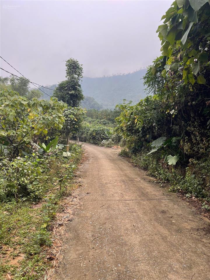 Chính chủ cần bán lô đất 2406,6m2, đã tách sẵn 2 sổ đỏ bao ktra quy hoạch  long đông xuân