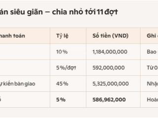 Npv 8x20,5m izumi cityvị trí đẹp hiếm, lịch thanh toán siêu giãn chia thành 11 đợt đến 11/2028