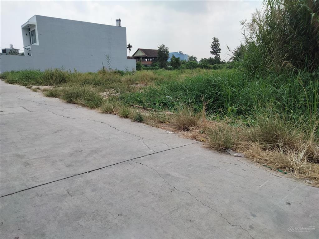 Bán đất thổ cư 5x23m  113m2 xây dựng tự do  ra đường bình mỹ, kênh xanh