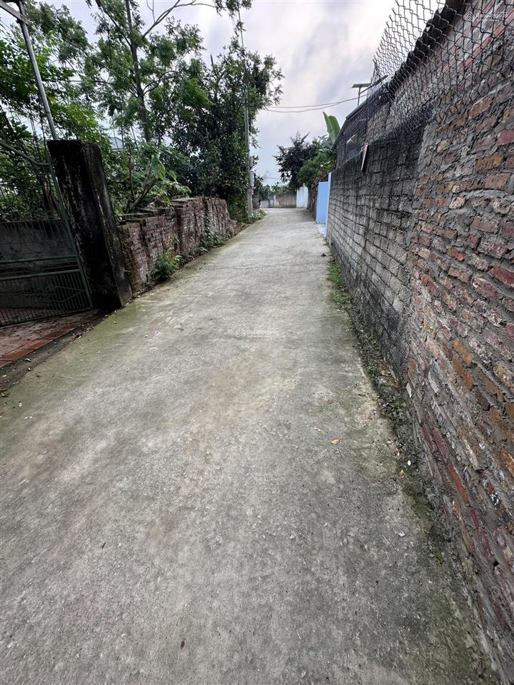 Em cần bán nhanh lô đất đẹp tại thôn cẩm trang  xã hợp thịnh  bắc ninh hàng chính chủ