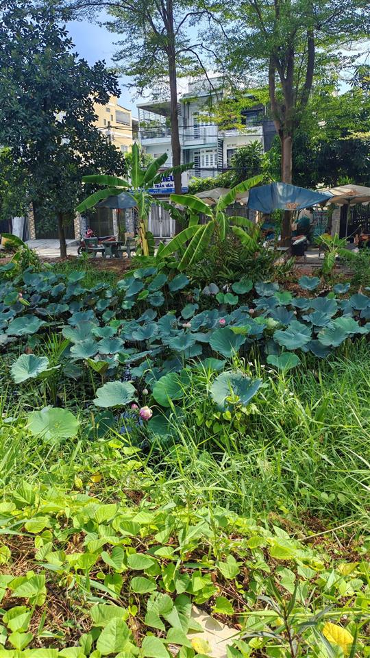 Bán nhà riêng 100m2, giá siêu hời tại an phú đông, quận 12, hồ chí minh