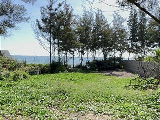 Người nhà cần bán 2.401m2 mặt biển nguyễn cơ thạch mũi né