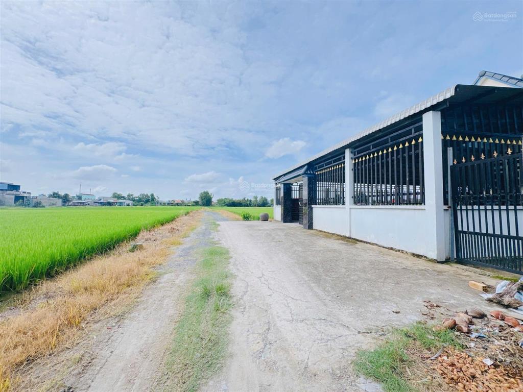 Bán 10x29m đất đức hòa hạ, đức hòa, long an  giáp kcn tân đức  giá đầu tư