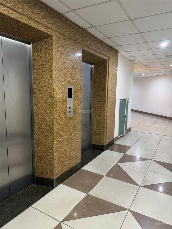 Bán căn hộ 90 trần thái tông 88,2m sổ đỏ lâu dài