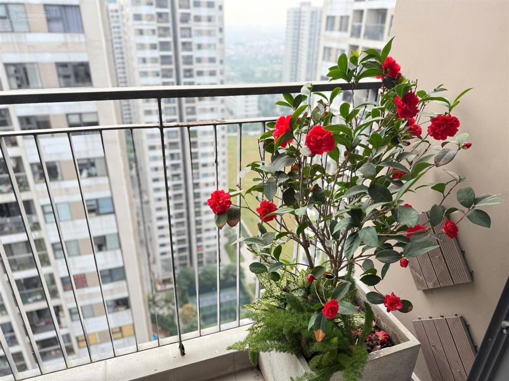 Bán căn 2pn1wc s2.11 view thoáng hỗ trợ bank