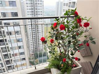 Bán căn 2pn1wc s2.11 view thoáng hỗ trợ bank