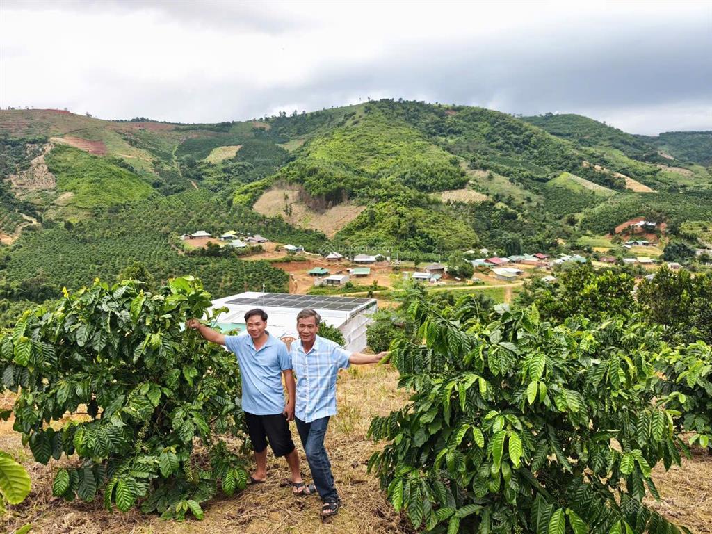 Siêu phẩm 15ha view đẹp hiếm full cây trái + cafe làm farm stay cực đỉnh