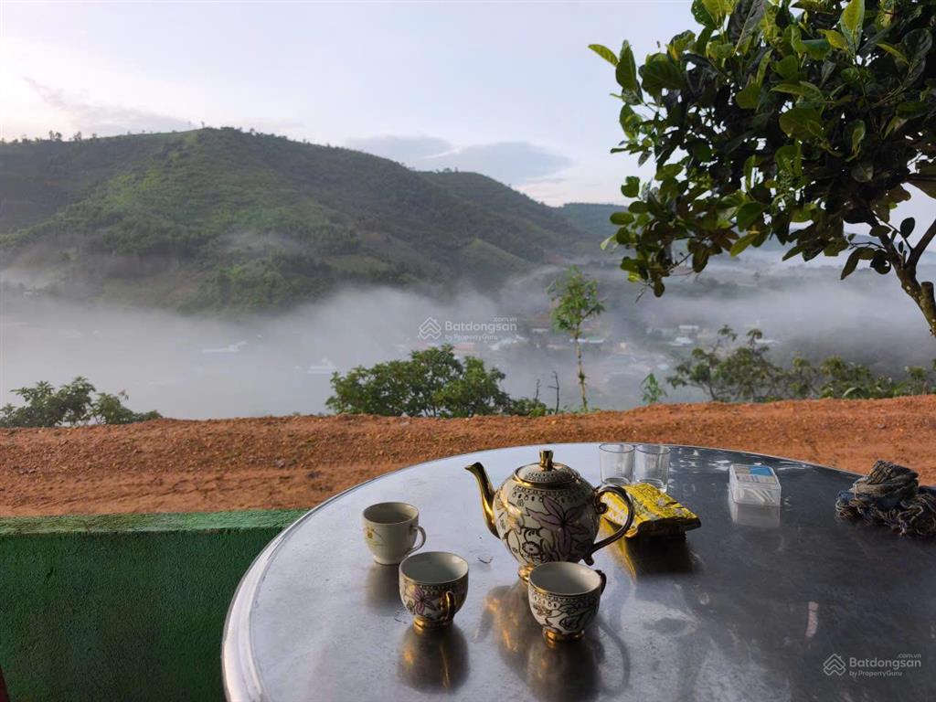Siêu phẩm 15ha view đẹp hiếm full cây trái + cafe làm farm stay cực đỉnh