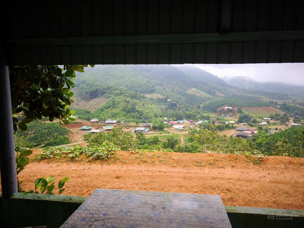 Siêu phẩm 15ha view đẹp hiếm full cây trái + cafe làm farm stay cực đỉnh