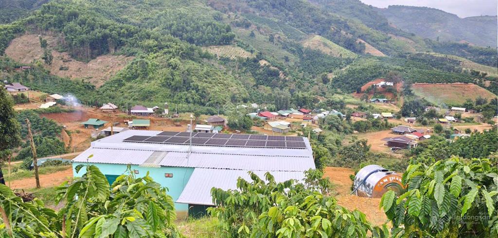 Siêu phẩm 15ha view đẹp hiếm full cây trái + cafe làm farm stay cực đỉnh