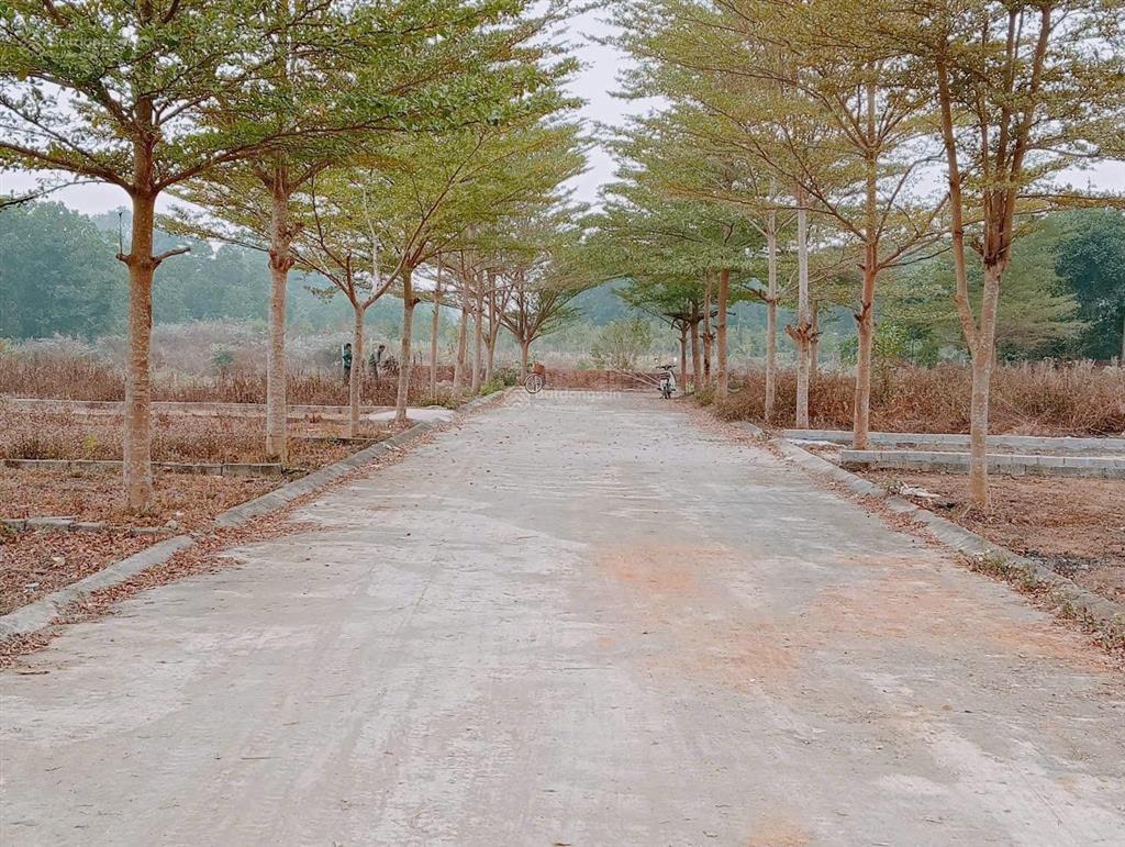 Chủ cắt lỗ sâu rẻ hơn 300 triệu bán nhanh 79m 2 mặt tiền đường thông ngay sát trung tâm xã hoà lạc