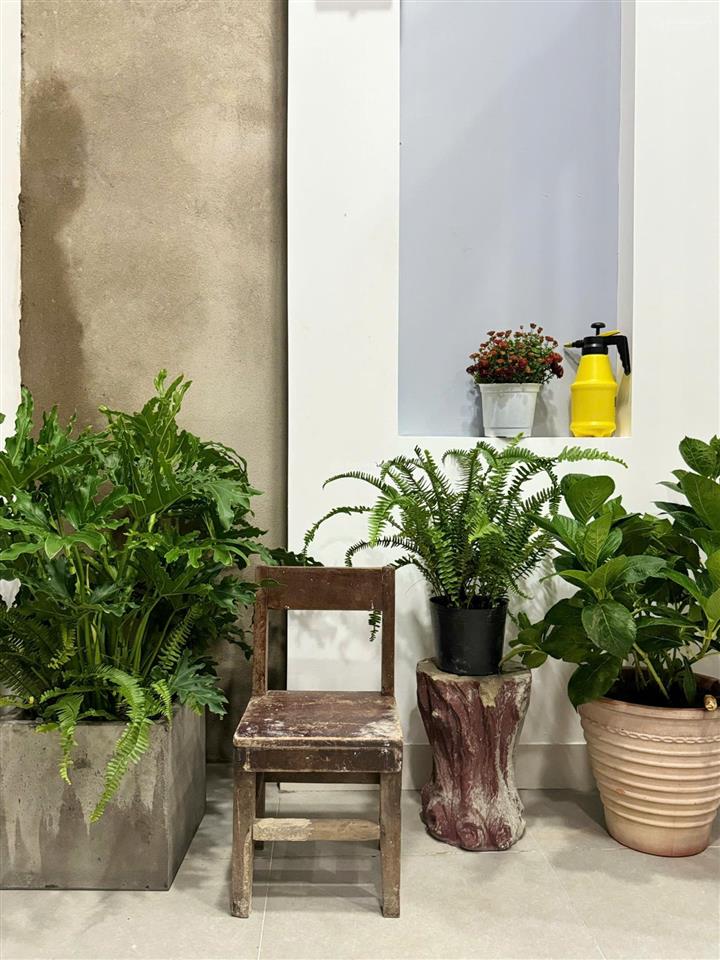 Bán siêu phẩm kiệt ô tô chế lan viên  100m ra tới biển