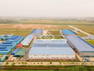 Lô đất công nghiệp 10.000m2 bám ql37, san lấp sẵn, bàn giao ngay