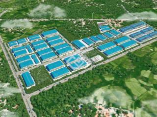 Lô đất cực đẹp 5000m² tại hiệp hòa, sẵn sàng bàn giao mặt bằng, hỗ trợ pháp lý trọn gói