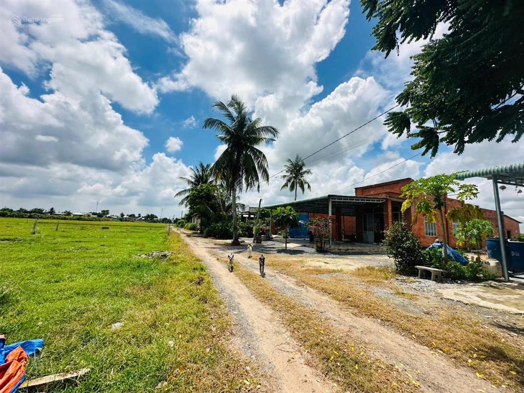 Đất thổ cư gần công ty cansport. 5x36 đường ô tô, 420tr