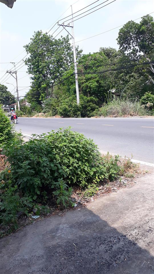 Cho thuê kho, nhà xưởng 770m2 giá cực chất tại nguyễn văn khạ, phú hòa đông, củ chi