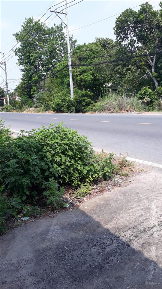 Cho thuê kho, nhà xưởng 770m2 giá cực chất tại nguyễn văn khạ, phú hòa đông, củ chi