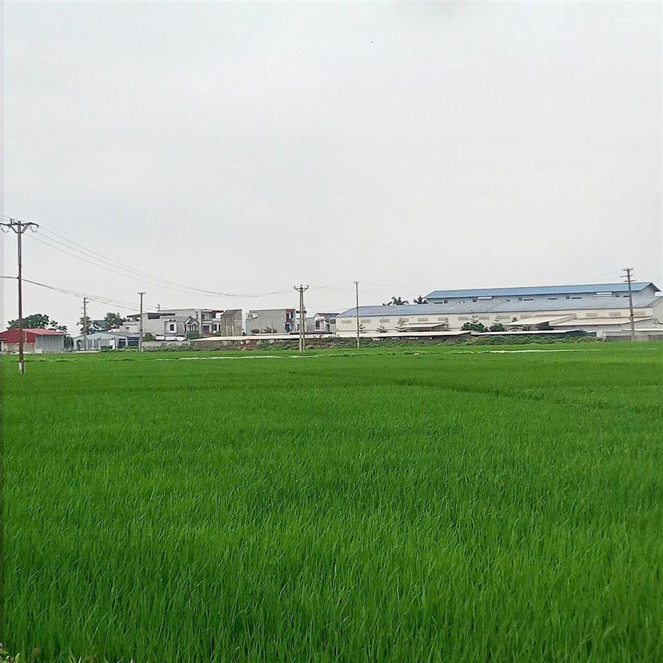 Chào bán nhanh lô xuân hoà ngay cụm công nghiệp 75ha thọ hải xuân hoà