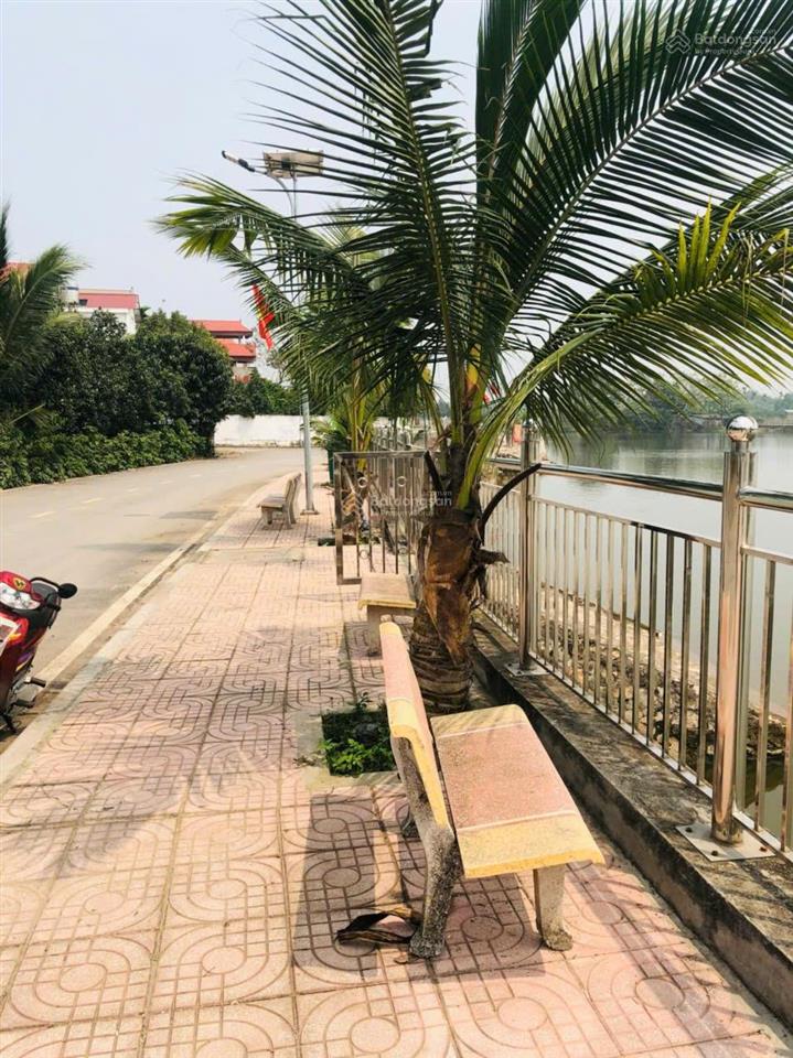 Chính chủ bán đất phương đình  đan phượng, dt 275m x mặt tiền 10m, view hồ, 15.5 tỷ