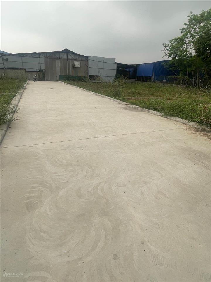 Đất phân lô minh phú  sóc sơn  full thổ cư  giá đầu tư  bán gấp