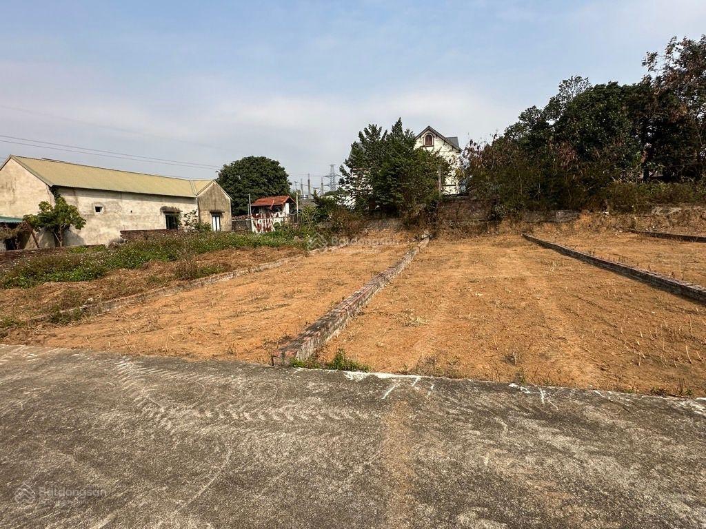 Bán đất thanh sơn, minh phú, sóc sơn 101m2, mặt tiền 5m, ngõ ô tô 7 chỗ, giá 1.75 tỷ.