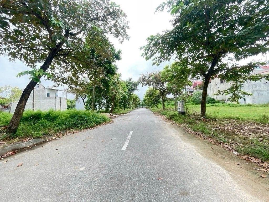 Đất vàng tđc bắc hạ  quang tiến  100m2  sát kcn nội bài  chỉ 4.25 tỷ