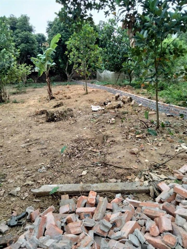 Bán đất đẹp phú ninh minh phú sóc sơn | 300m² | giá 4.6 tỷ