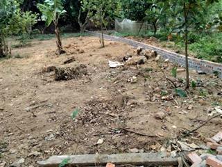 Bán đất đẹp phú ninh minh phú sóc sơn | 300m | giá 4.6 tỷ