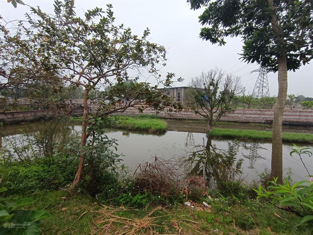 Siêu phẩm đất lô góc 3 mặt thoáng  1800m2 minh phú  chỉ 5.5 triệu/m2