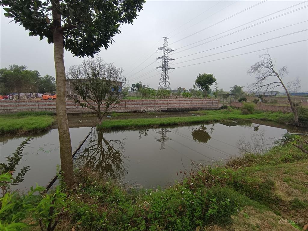 Siêu phẩm đất lô góc 3 mặt thoáng  1800m2 minh phú  chỉ 5.5 triệu/m2
