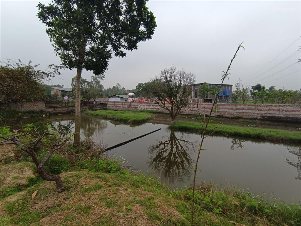 Siêu phẩm đất lô góc 3 mặt thoáng  1800m2 minh phú  chỉ 5.5 triệu/m2