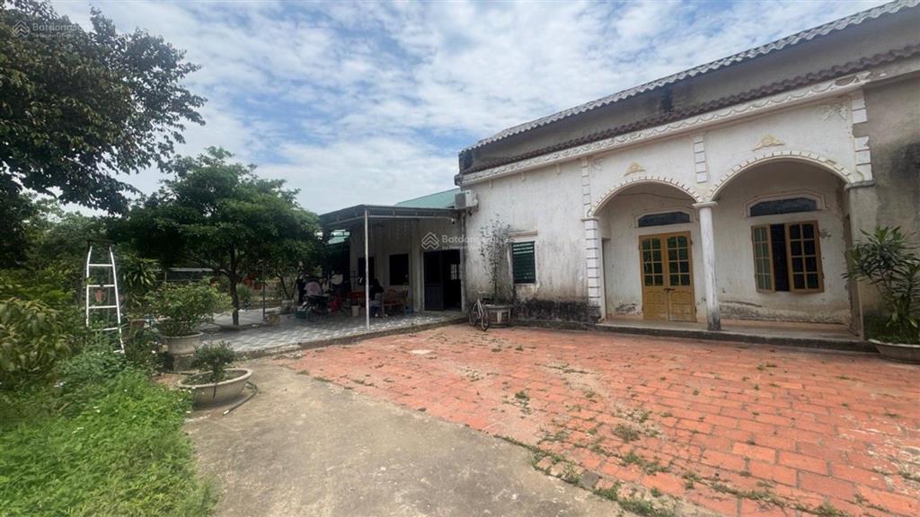 Chính chủ gửi bán 1013,8m2 phú thịnh  minh phú sóc sơn