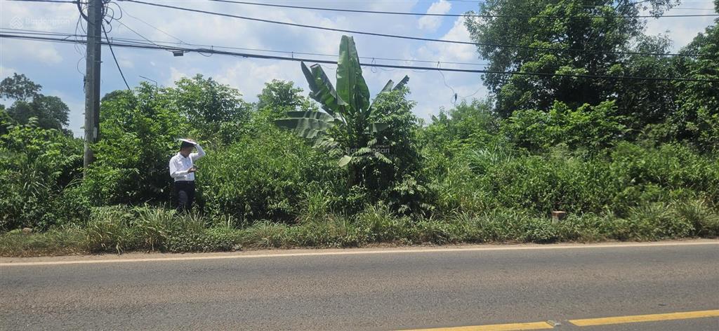 Bán đất mặt tiền đt 769 xã hưng lộc, thống nhất, đồng nai