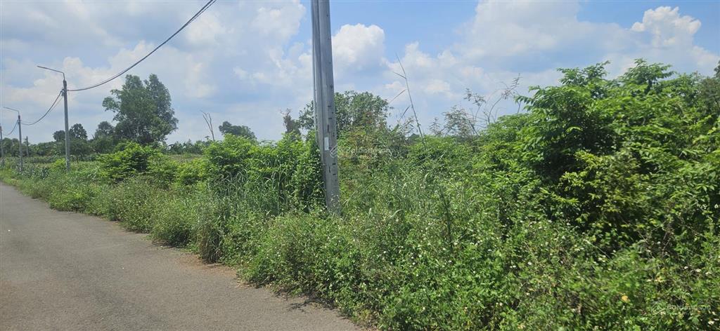 Bán đất mặt tiền đt 769 xã hưng lộc, thống nhất, đồng nai