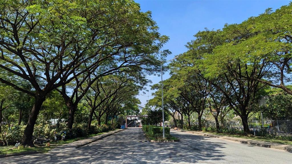 Cơ hội sở hữu căn hộ thiết kế phương ngang riêng tại setia gardens vốn đầu tư chỉ 5%!