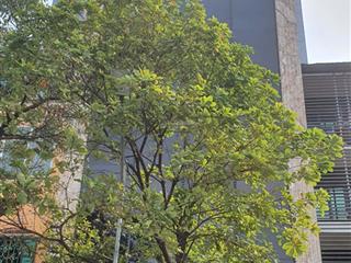 Bán nhà mặt phố kim đồng dt 130 m2, 10 tầng, mặt tiền rộng, vỉa hè kd!