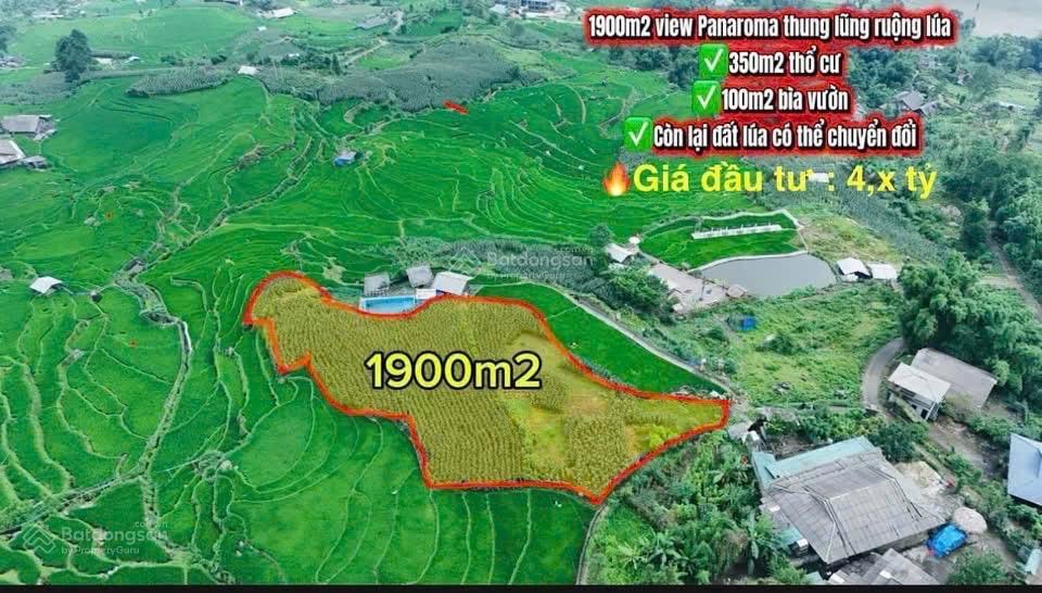 Bán đất đẹp hòa sử pán, tả van, sa pa gần 2000m2  chỉ hơn 4 tỷ