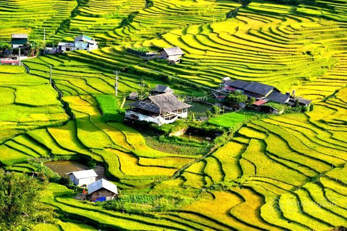 Bán đất đẹp hòa sử pán, tả van, sa pa gần 2000m2  chỉ hơn 4 tỷ