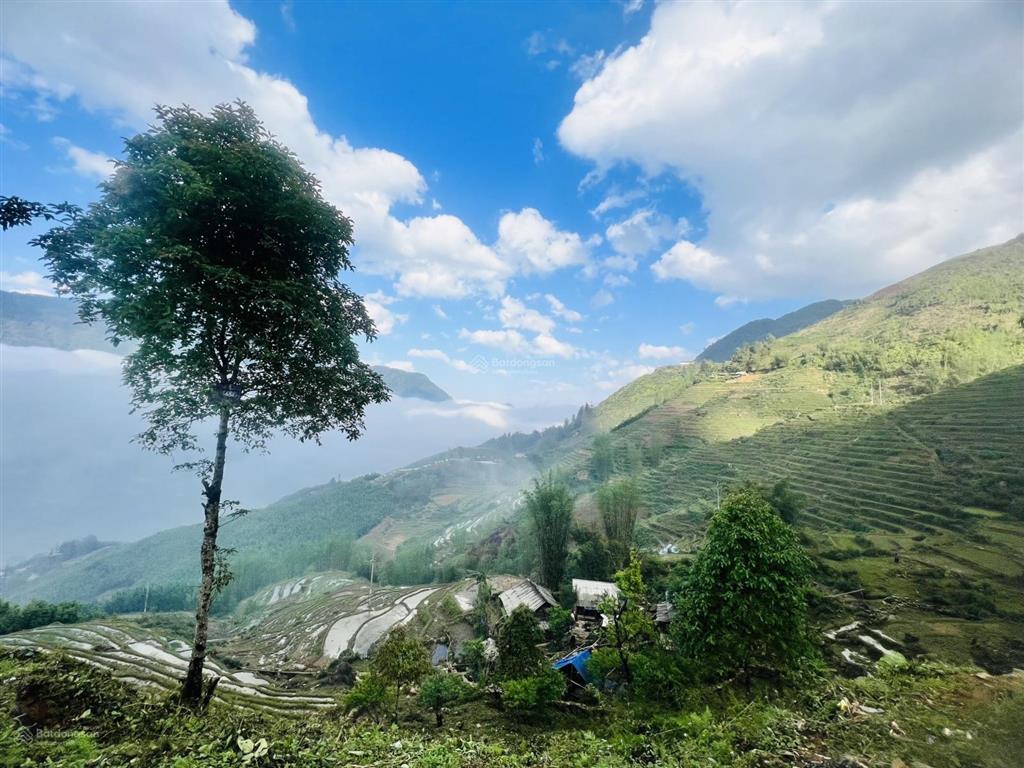Bán đất view đẹp 1580m2 tại tả van  sa pa  lào cai