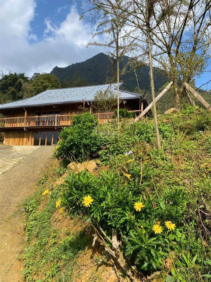 Sang nhượng homestay tả phìn, sa pa 11 phòng 627m2 thổ cư  5.95 tỷ