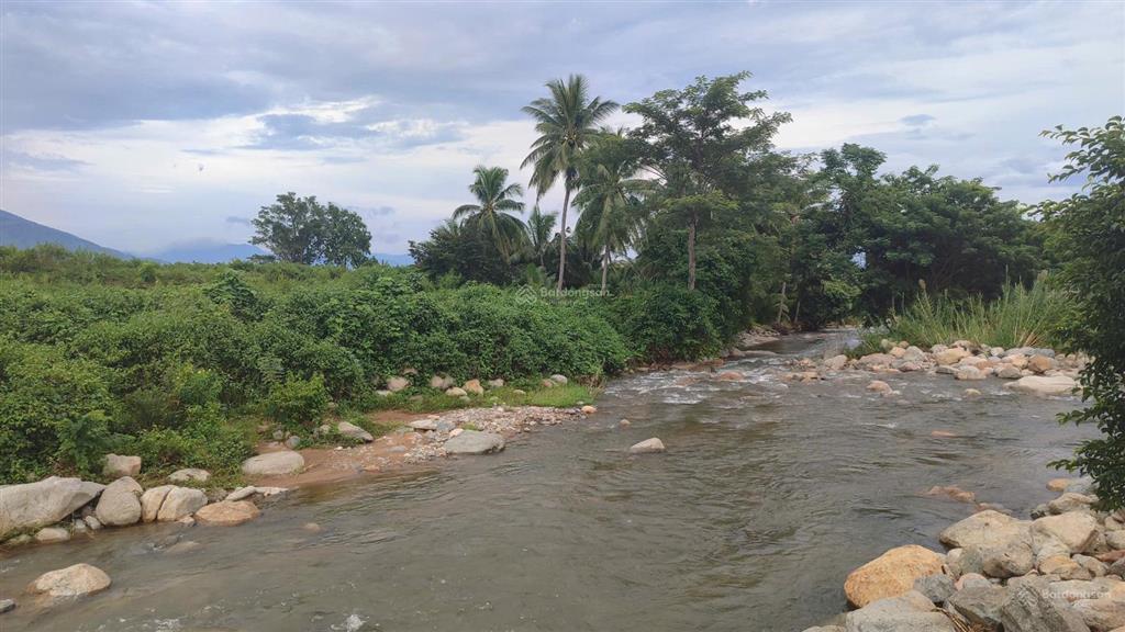 Bán 3,2 ha đất nông nghiệp vườn trái cây đang khai thác, có suối tự nhiên