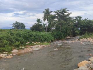 Bán 3,2 ha đất nông nghiệp vườn trái cây đang khai thác, có suối tự nhiên