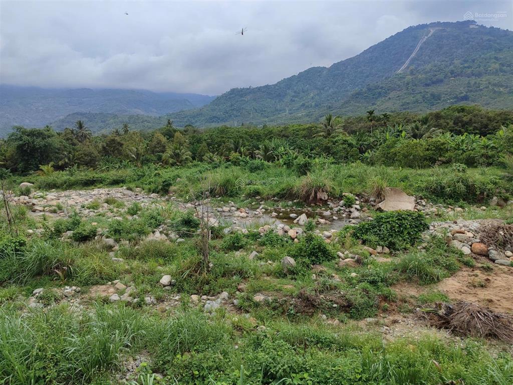 Bán 3,2 ha đất nông nghiệp vườn trái cây đang khai thác, có suối tự nhiên