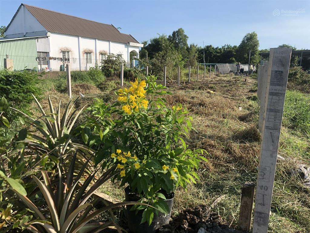 Chính chủ bán gấp nền thổ cư 198m2 phước lâm  nở hậu tài lộc (5m x 5,6m)  hẻm xe hơi tới đất.