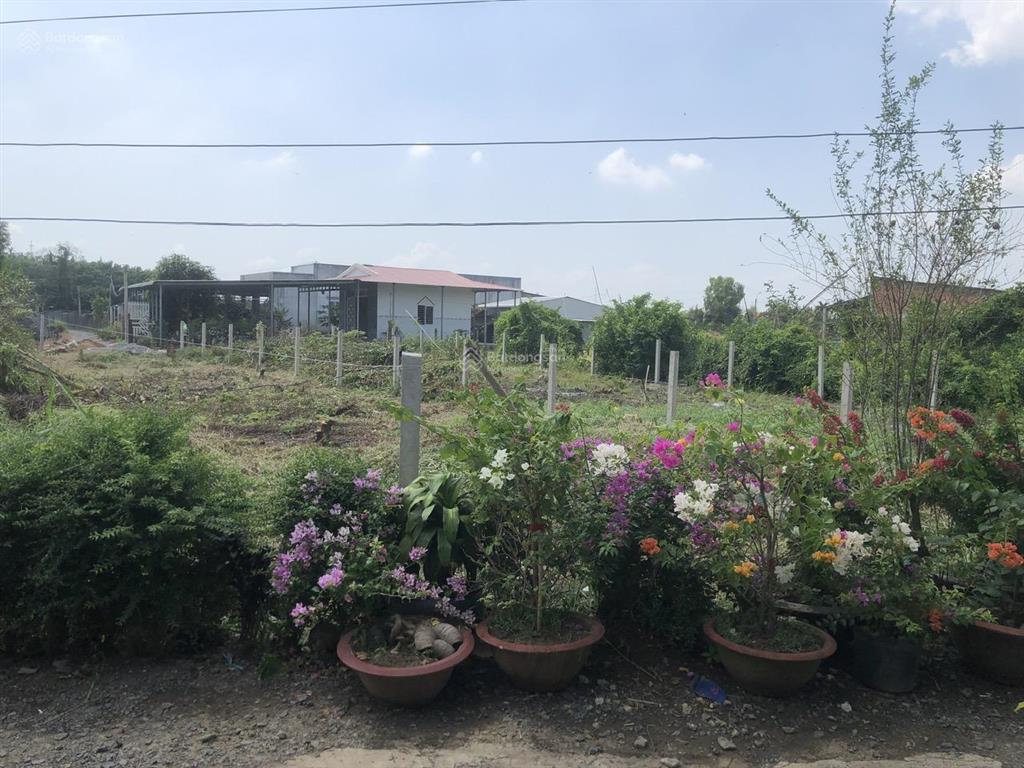 Chính chủ bán gấp nền thổ cư 198m2 phước lâm  nở hậu tài lộc (5m x 5,6m)  hẻm xe hơi tới đất.